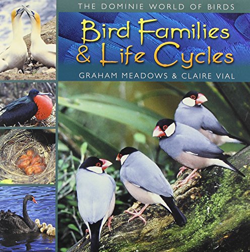 Bird families & life cycles