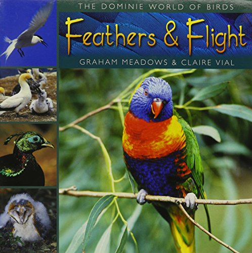Feathers & flight