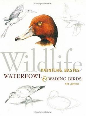 Wildlife painting basics : waterfowl & wading birds