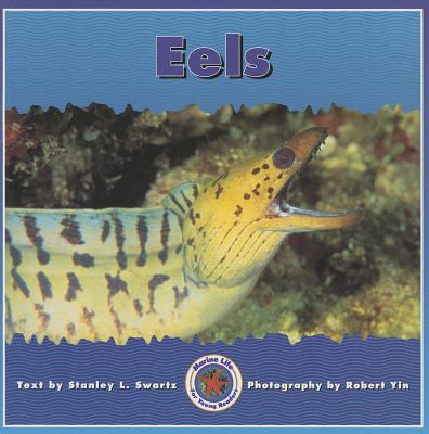 Eels