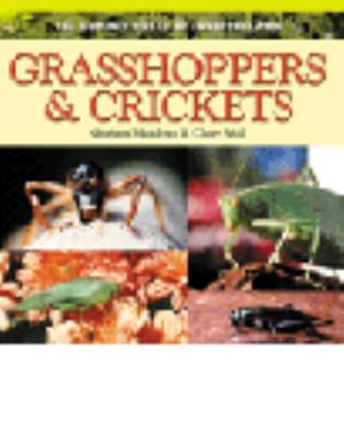 Grasshoppers & crickets