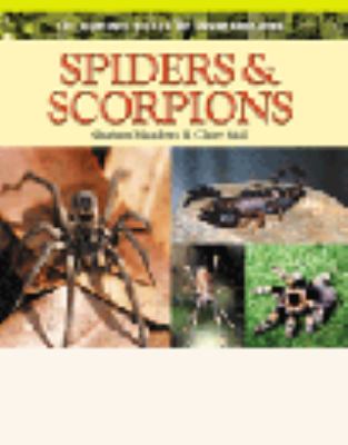 Spiders & scorpions
