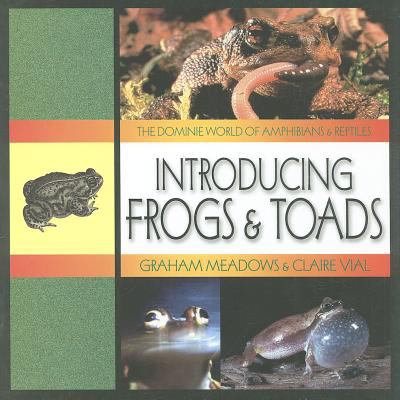 Introducing frogs & toads