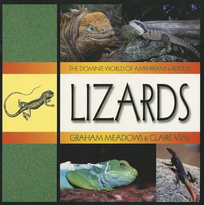 Lizards