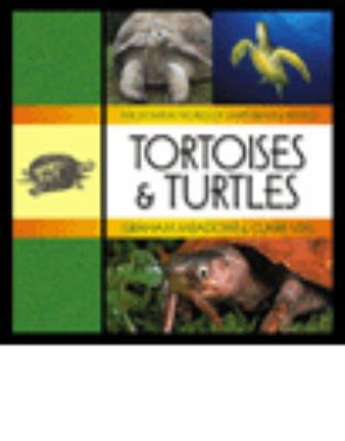 Tortoises & turtles