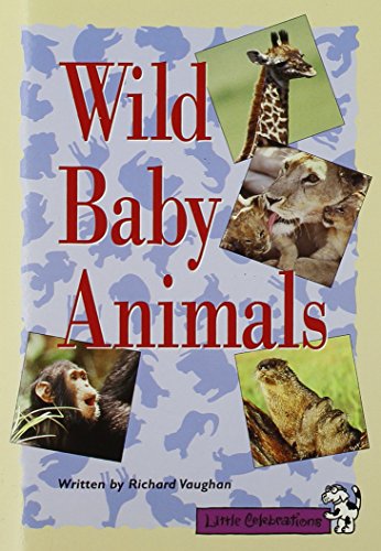 Wild baby animals