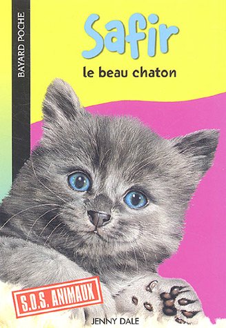 Safir, le beau chaton