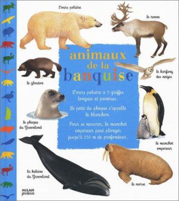 Animaux de la banquise