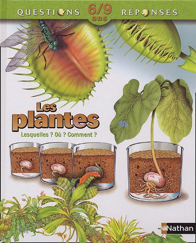 Les plantes