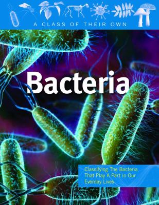 Bacteria : staph, strep, clostridium, and other bacteria