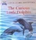 The curious little dolphin