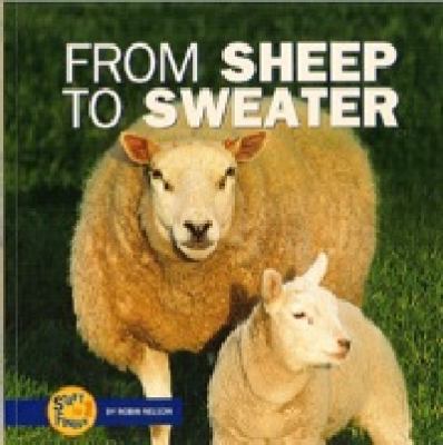 From sheep to sweater