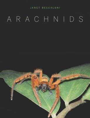 Arachnids