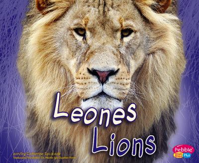 Lions = Leones