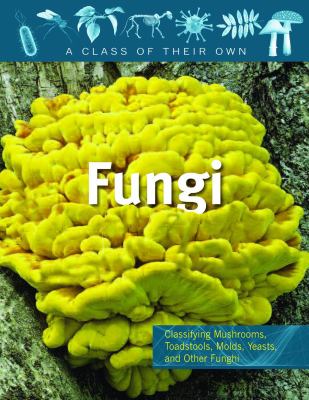Fungi : mushrooms, toadstools, molds, yeasts, and other fungi