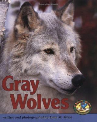 Gray wolves