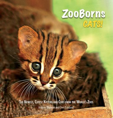 ZooBorns. : the newest, cutest kittens and cubs from the world's zoos. Cats! :