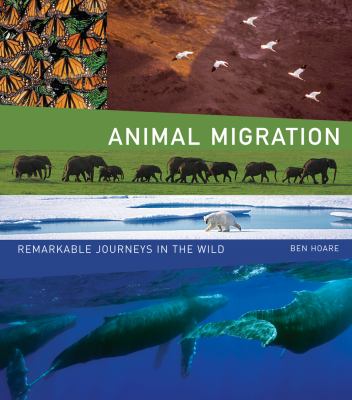 Animal migration : remarkable journeys in the wild
