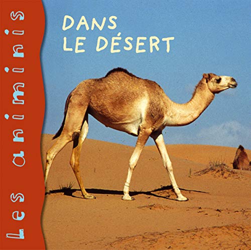 Dans le désert