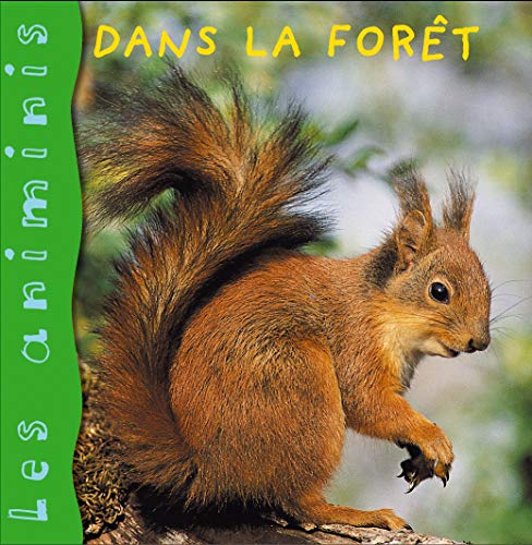 Dans la forêt.