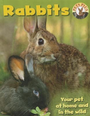 Rabbits