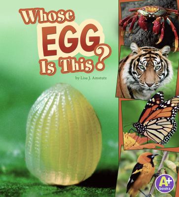 Whose egg is this?