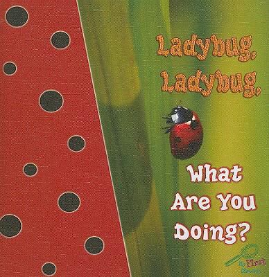 Ladybug, ladybug, what are you doing?