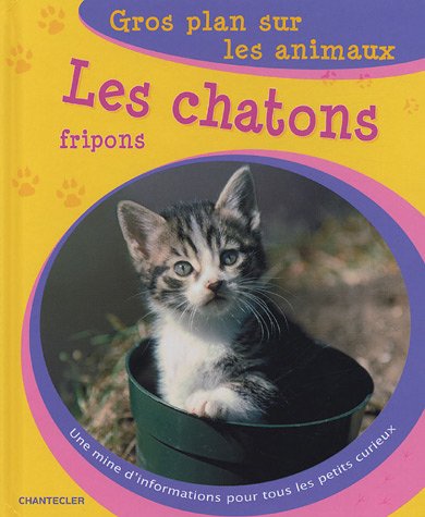 Les chatons fripons