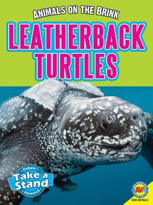 Leatherback turtles