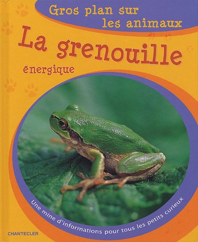 La grenouille énergique