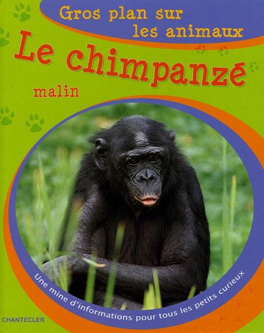 Le chimpanzé malin