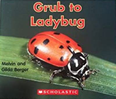 Grub to ladybug