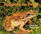 Tadpole to frog