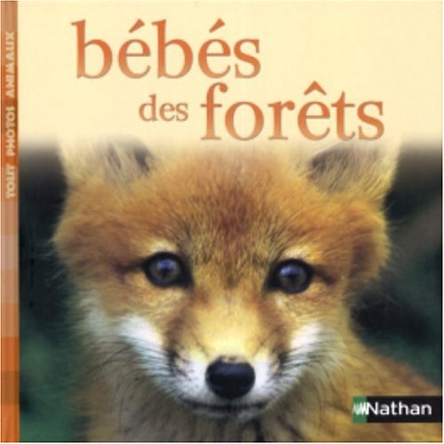 Bébés des forêts