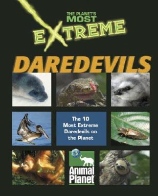 Extreme daredevils