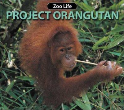 Project orangutan