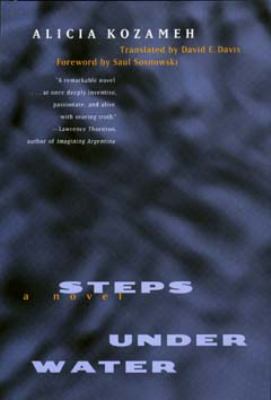 Steps under water : a novel