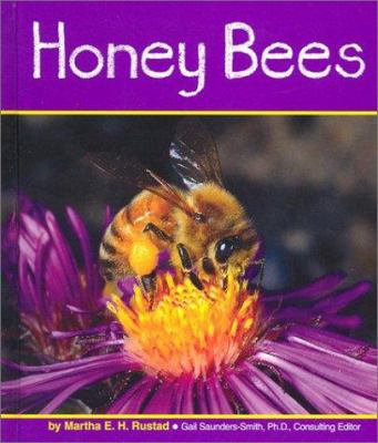 Honey bees