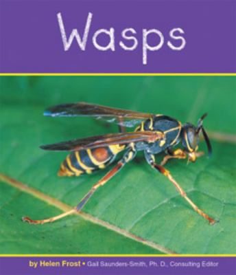 Wasps