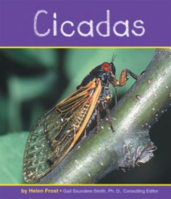 Cicadas