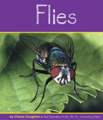 Flies