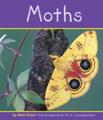 Moths