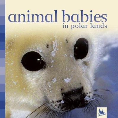 Animal babies in polar lands.