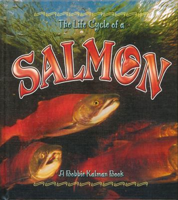 The life cycle of a salmon