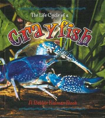 The life cycle of a crayfish