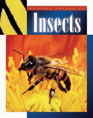 Insects