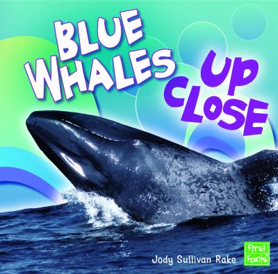Blue whales up close