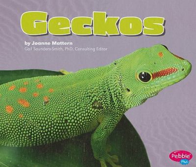 Geckos