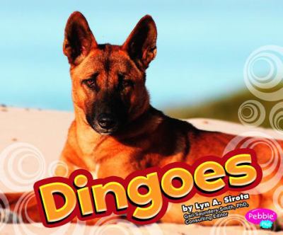 Dingoes