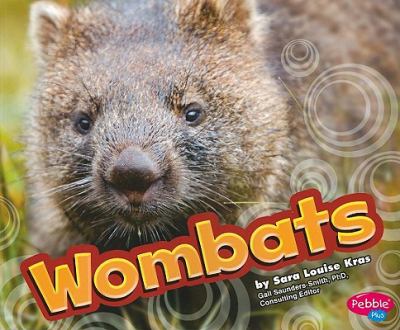 Wombat